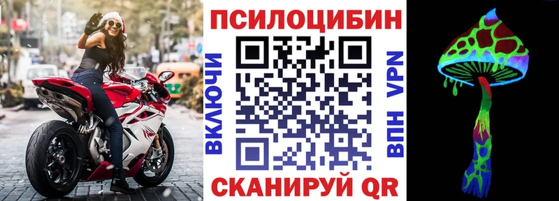 купить закладку  Темрюк  hydra как войти  Псилоцибиновые грибы MAGIC MUSHROOMS 